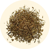 SEMILLA DE ZANAHORIA